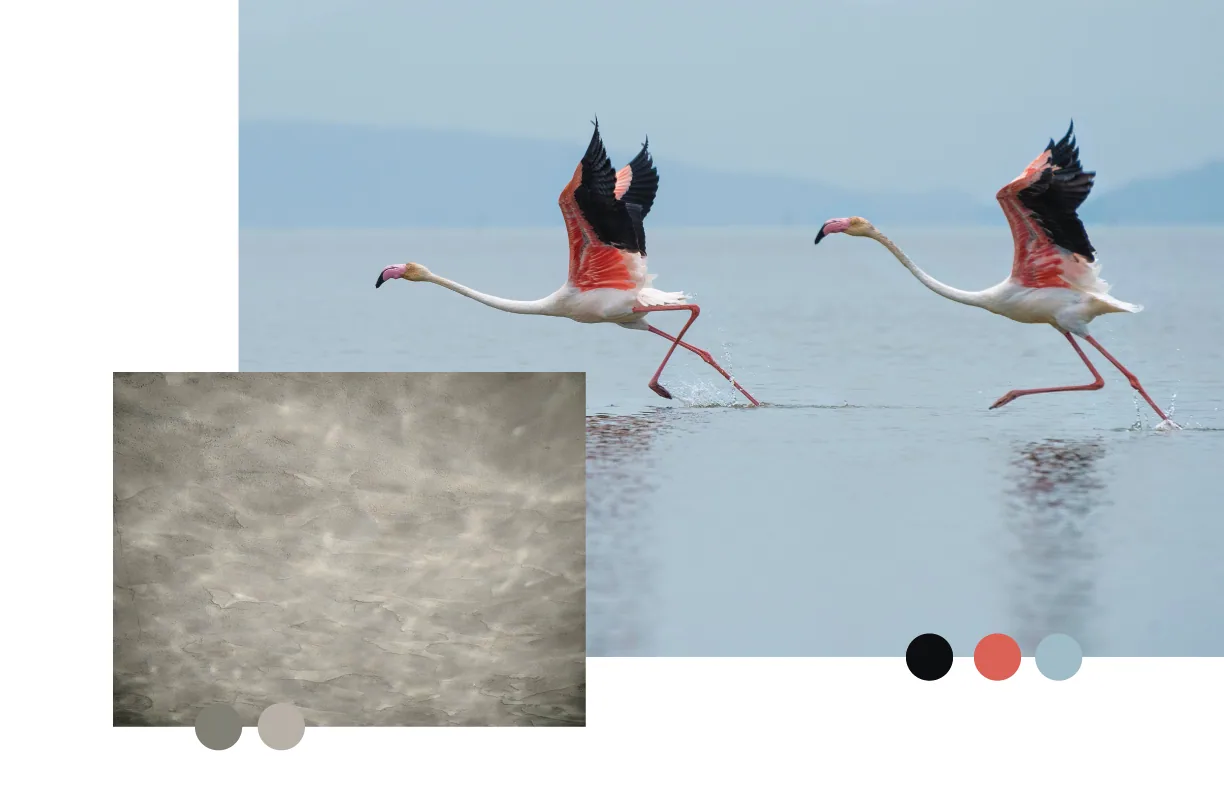 Flamingo photograph paired with concrete texture and palette swatches