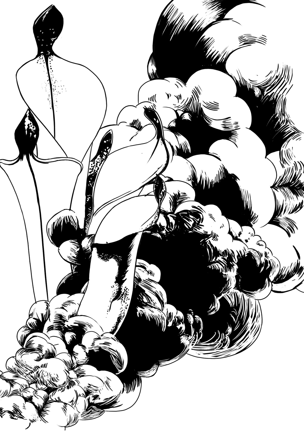 Smoke Study